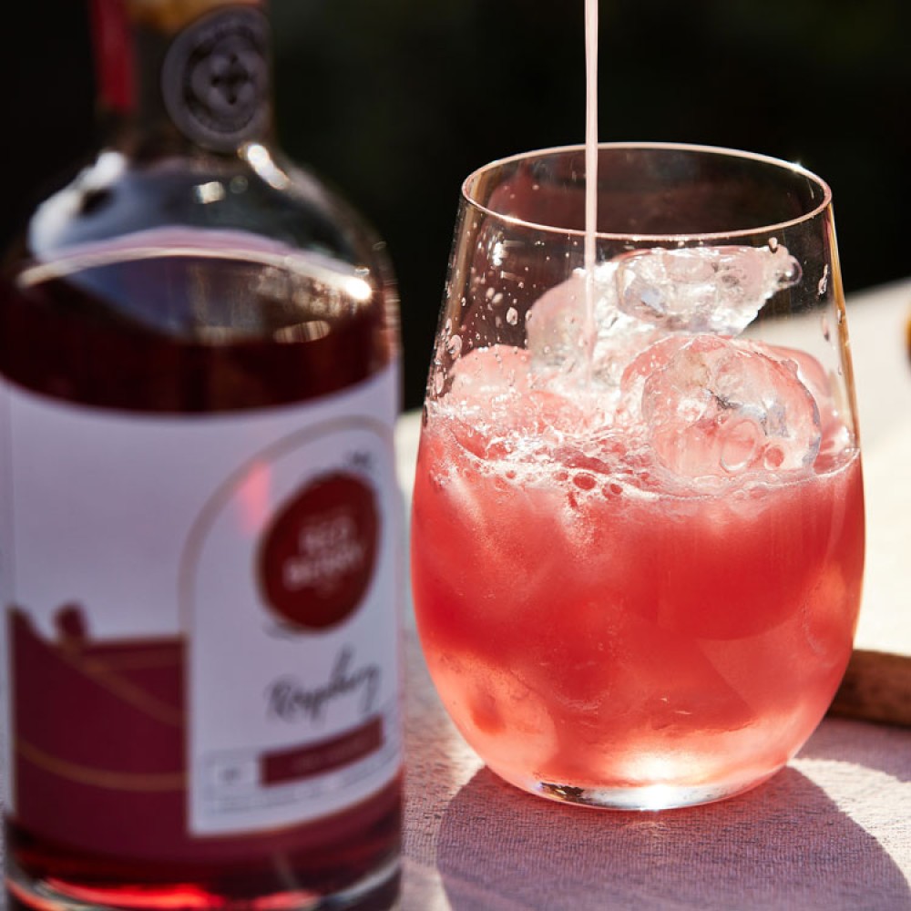Raspberry Gin Spritz